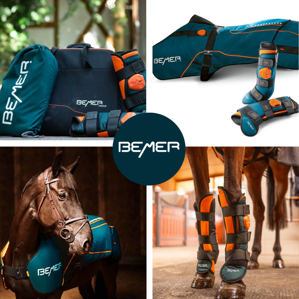 BEMER Horse Set